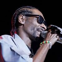 Snoop Dogg performing at Liverpool Echo Arena - Photos | Picture 96763